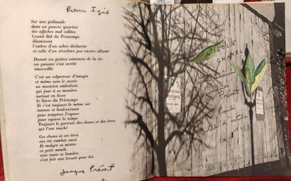 PRÉVERT Jacques et IZIS
GRAND BAL DU PRINTEMPS....