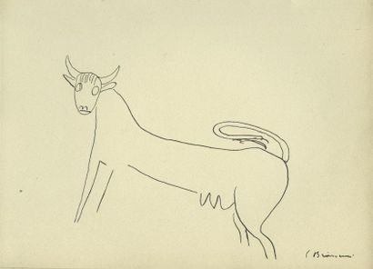 [BRANCUSI]. VORONCA Ilarie
PLANTE SI ANIMALE....