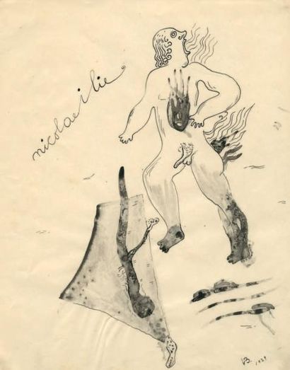 BRAUNER Victor
NICOLAE ILIE. PROJET DE LIVRE...