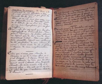 BERTON Germaine
LA DIONYSIAQUE D'UNAM. CARNET...
