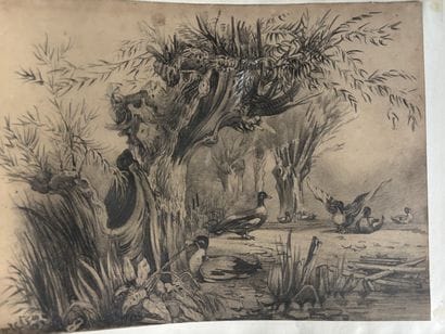 French school of the 19th century
Album of...