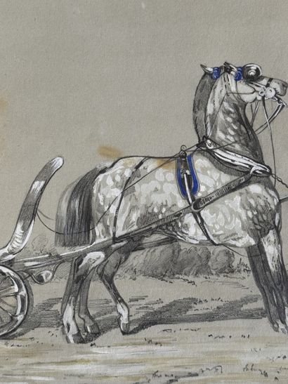 French school of the 19th century
Album of...