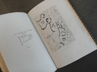 Set of 5 volumes:
- DOUCET (Jérôme). Princesses...