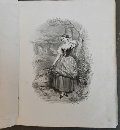 Set of 5 volumes:
- DOUCET (Jérôme). Princesses...