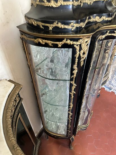 Curved display case in blackened wood with...