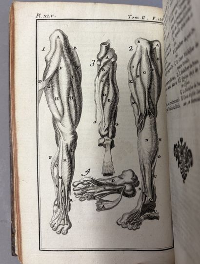 PALFIN (J.). Anatomie chirurgicale, ou description...
