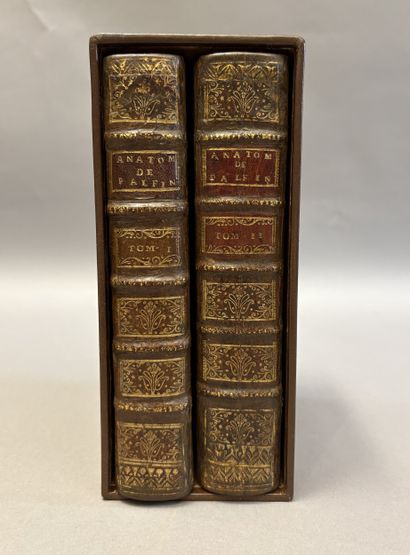 PALFIN (J.). Anatomie chirurgicale, ou description...