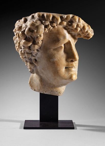 Head of a young man
Marble
Italian school,...