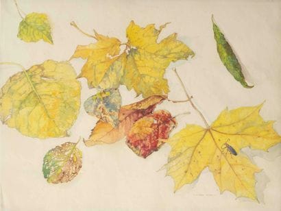 Étienne de LIERRES (c. 1890–1928) Studies...
