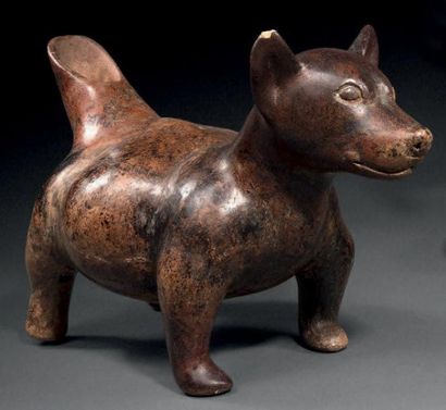CHIEN GRAS Culture Colima, Mexique occidental...