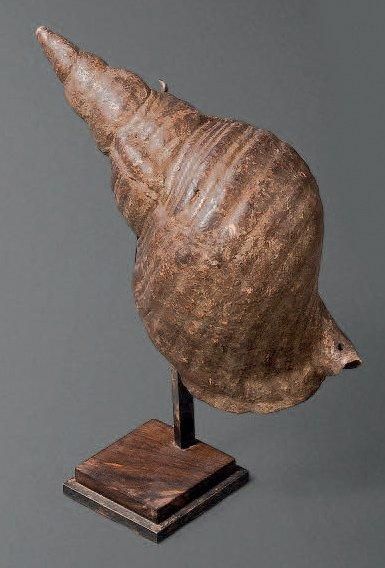 TROMPE D'APPEL PU, Iles Marquises Coquillage...
