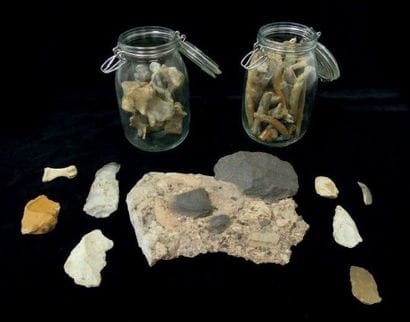 ENSEMBLE DE BIFACES, VERTÈBRES (OS DIVER...