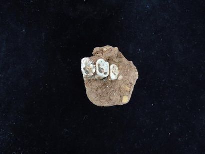ENSEMBLE DE BIFACES, VERTÈBRES (OS DIVER...