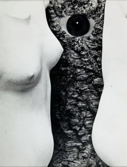 DOHMEN Léo
LE VOYEUR. PHOTOMONTAGE ORIGINAL....