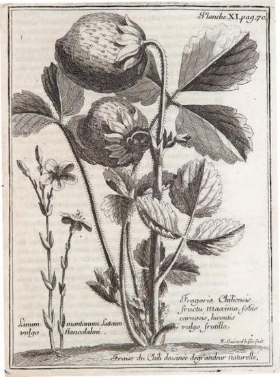 FRÉZIER (Amédée-François)
Relation du voyage...