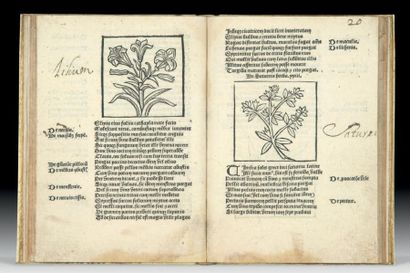 MACER FLORIDUS de viribus herbaru. S.l.n.d....