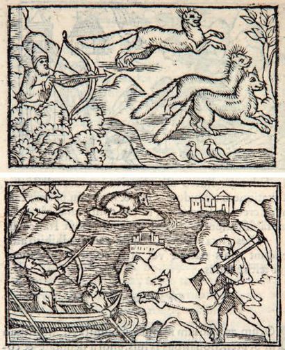 OLAUS MAGNUS
Historia de gentibus septentrionalibus....
