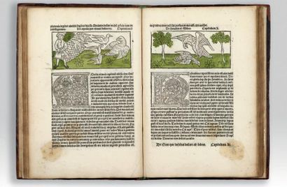 DIALOGUS CREATURARUM. - (D)Estructorium vitio[rum]...