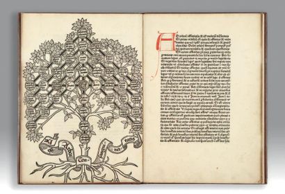 [ANDREAE (Johannes)]
Super arboribus consanguinitatis...