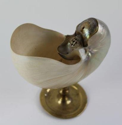 Nautilus monté sur une base en laiton
19x19x8...