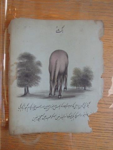 Ensemble de six dessins représentant des...