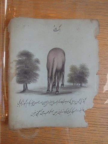 Ensemble de six dessins représentant des...