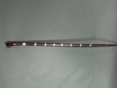 Canne à pommeau en tête de canidé, Dahomey
Bois...