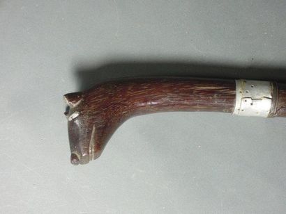 Canne à pommeau en tête de canidé, Dahomey
Bois...
