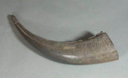Oliphant Batak, Sumatra, Indonésie
Bois à...