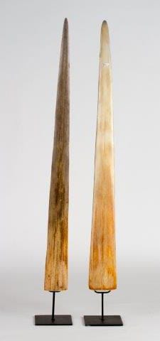 2 Rostres d'espadon.
Soclés.
Non Cites