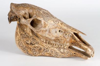 Crâne
Indonésie
Os de cheval sculpté de rinceaux...