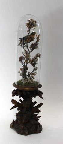 Ensemble de deux globes en verre recouvrant...