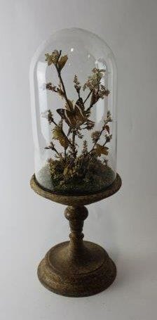 Ensemble de deux globes en verre recouvrant...