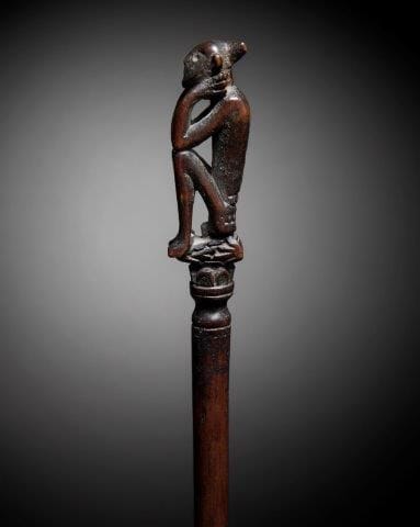 CHARME DE CHASSE OU TUN-TUN, IBAN, SARAWAK,...