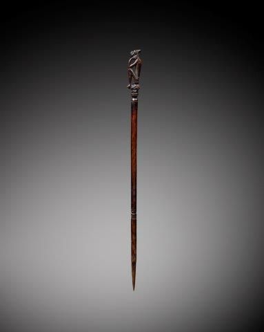 CHARME DE CHASSE OU TUN-TUN, IBAN, SARAWAK,...