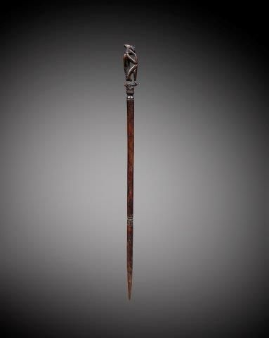 CHARME DE CHASSE OU TUN-TUN, IBAN, SARAWAK,...