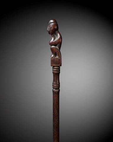 CHARME DE CHASSE OU TUN-TUN, IBAN, SARAWAK,...