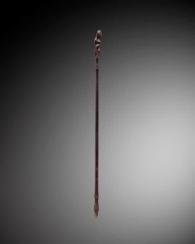 CHARME DE CHASSE OU TUN-TUN, IBAN, SARAWAK,...