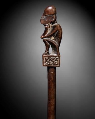 CHARME DE CHASSE OU TUN-TUN, IBAN, SARAWAK,...
