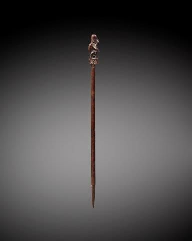 CHARME DE CHASSE OU TUN-TUN, IBAN, SARAWAK,...