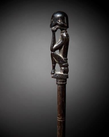 CHARME DE CHASSE OU TUN-TUN, IBAN, SARAWAK,...