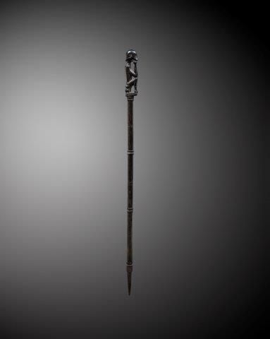 CHARME DE CHASSE OU TUN-TUN, IBAN, SARAWAK,...