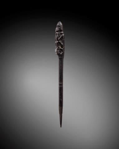 CHARME DE CHASSE OU TUN-TUN, IBAN, SARAWAK,...