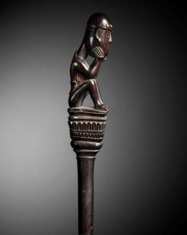 CHARME DE CHASSE OU TUN-TUN, IBAN, SARAWAK,...