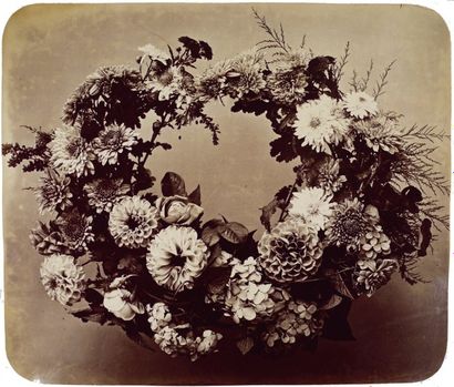 Adolphe Braun (1812-1877)
Fleurs photographiées...