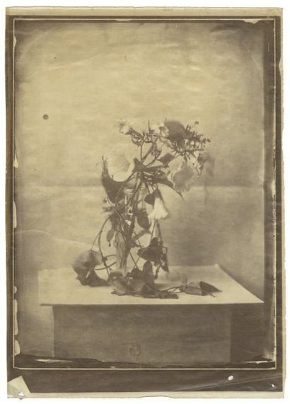 Cercle de Charles Nègre (repère 01-2)
Étude...