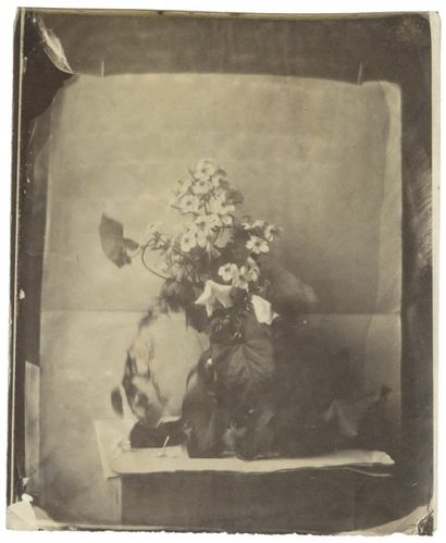 Cercle de Charles Nègre (repère 01-2)
Étude...