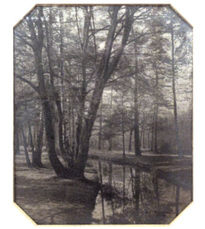 Edouard E. Cordonnier (1853 -1933)
Sous-bois,...