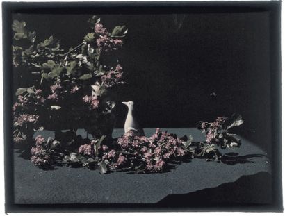 Troisieme autochromiste anglais (02-4)
Composition,...