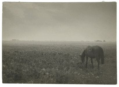 André Kertész (1894 - 1985)
Puszta (Paysage...